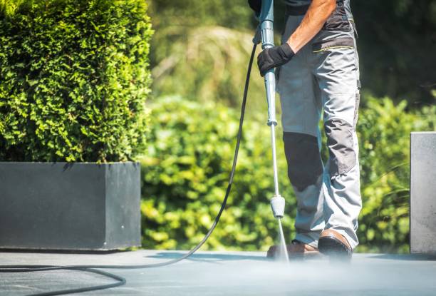Best Sidewalk and Walkway Cleaning  in Oak Hill, FL