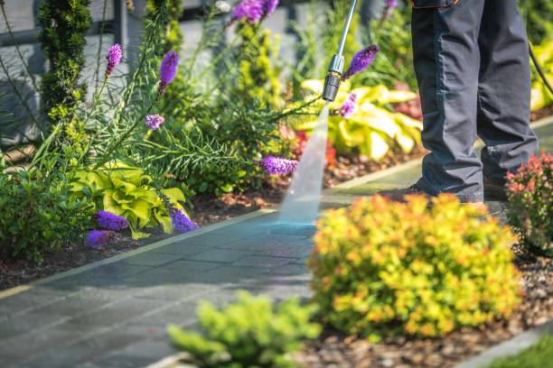 Best Spring Cleaning  in Oak Hill, FL